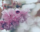 フィルムカメラ風レタッチでご希望の写真を提供します デジカメ等で撮影した写真をフィルム調にレタッチし直します イメージ7