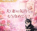 即日鑑定｜夫(妻)の気持ちもう冷めてる？かをます 夫婦特化型　夫(妻)の本音　離婚を考えてる？ イメージ1