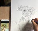 ペット似顔絵描きます 大切なペットを色鮮やかに世界に一つだけのアートを描きます！ イメージ7