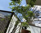 ご相談ください。必ず解決のヒントを差し上げます 視点を変えるとあなた自身の解決力が見えてきます。 イメージ1