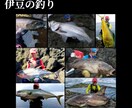 磯ヒラスズキ・青物・クエ「釣り方のコツ」教えます ～約1000名に教えた現役「磯プロガイド」が全力で答えます～ イメージ7