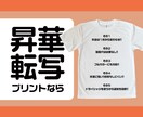 世界でひとつだけのオリジナルTシャツお作りします 洗濯にも超強いドライシャツで作る昇華転写シャツ イメージ3