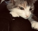 愚痴ききます 不満が溜まってる方におすすめです！！ イメージ1