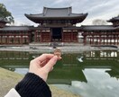 御朱印集め、代行うけたまわります 京都府を含む近畿圏内の神社やお寺の御朱印集めを代行します イメージ1