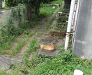 [都内]あなたの気になってる場所の写真を撮ります。 イメージ1