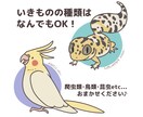 どうぶつのゆるかわアイコン描きます ゆるかわどうぶつアイコンです！待ち受けやグッズ作成にも！ イメージ3