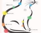 3日間❤️『ペットちゃんヒーリング』致します 大切なペットちゃん❤️飼い主様へ細やかなサポートを致します。 イメージ7