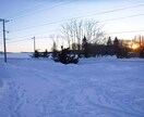 用途不問の背景画像提供します 背景に使えそうな写真を提供します イメージ8