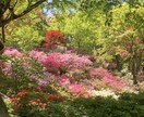 写真の撮影や編集作業をします 明るさ・色味・雰囲気、理想の一枚に近づけます。 イメージ2