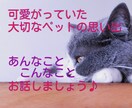 猫ペットロス～大切な思い出話、お聴きします ペットロス・猫・楽しかった思い出、悲しい気持ち話しませんか？ イメージ4