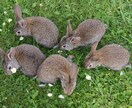 文数無制限！1時間！即レス！なんでも！お話聞きます 相談、愚痴や雑談をトークルームで聞きます。ぼくとお話しましょ イメージ9