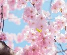 あなたの今の気持ちをすべて受け止めます 辛い、寂しい、悲しい、嬉しい気持ちなどすべて話してください♪ イメージ5