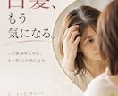 美容室向けSNS広告を制作します 美容師の現場目線で伝わるデザインを制作 イメージ6