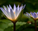 あなたを見守る守護霊様をワンコイン霊視します 「一人じゃない」と感じたいときに受けてほしい鑑定です イメージ6