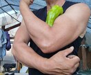 54歳現役職人のリアルな肉体で着用モデルをします 上腕43cmのタフな体躯・無骨な手元【法人限定】 イメージ3