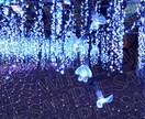 2026年カレンダー作ります 美しい綺麗な景色が大好きな方必見!プレゼントにも! イメージ4