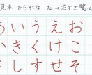 ひらがな五十音のペン字解説します コツが分かりやすく短期間で学習できる！ イメージ1