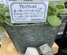 味のある手書きPOPを書きます 長く愛されるPOPが得意です。 イメージ4