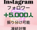 Instagramフォロワー＋5000人増やします アカウント凍結対策！アカウント振分け可能！ゆっくり指定可能！ イメージ1