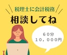 60分ビデオチャットでお悩み解消します 会計や税務の「わからん」「1人じゃ面倒くさい」を解決します イメージ1