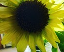 話してみませんか？誰かに聞いて欲しいお話を伺います バツイチ☆シングルマザーです。 イメージ1