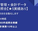 販売管理と会計データの照合を自動化します 【★5実績あり】販売管理×会計データの自動照合システム構築 イメージ1