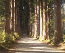 複雑恋愛を明るい未来へ導きます なかなか進まないあの人の本当の気持ちをお伝えします。 イメージ10