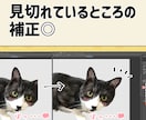 ペットのお写真でLINEスタンプ制作します 作成～申請までお任せください♪ イメージ3