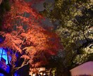 秋の京都観光！教えます 紅葉名所が多数の京都、地元民ならではの選りすぐりの名所紹介！ イメージ2