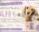 あなたのペットの気持ち鑑定します どう思ってる？幸せにしてる？その気持ち鑑定します イメージ1