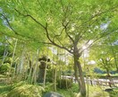 少し話したい時、一緒にお話しします 恋愛/悩み/こんなことがあった！など♪ イメージ7