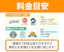 お持ちの画像をトレースしてAiデータをお作りします お手持ちの画像を印刷会社に出せるAiデータに変更できます イメージ6
