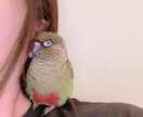 現役獣医師が本音で獣医学部のリアルをお話しします 臨床15年以上＋ペット保険・医療広告会社も経験した女性獣医師 イメージ5