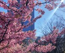 生活をもっと楽しむためのコンサル行います 主に楽しく自分らしく生活するためにテーマにコンサル イメージ1