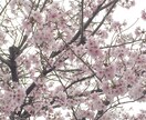 短い時間でもOK！話し相手になります 言えない悩みを吐き出したい、誰かと話したいあなたへ イメージ3