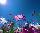 女性と上手くいかない方にアドバイスします ずっと女性社会で生き抜いてきた経験でサポートします イメージ1