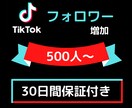 TikTokフォロワー500人〜増やします 【10人限定特典+保証あり】500〜10000人対応 イメージ1