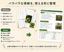 メモや資料を読みやすいPDFに整理します 構成・文章・見た目を整え、スマホでも伝わる資料へ イメージ2