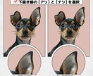 写真を元にペットイラストアイコン似顔絵を作成します 愛犬・愛猫・など愛するわが子をイラストにしませんか？ イメージ8
