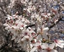 IT業界の事を知らない方にノウハウを教えます 転職を考えている方や何を勉強していいかわからない方へ イメージ1