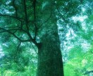 精霊対話法で、あなたに宿る精霊と対話します 〜人生を好転させるため、精霊や天の声を聞きませんか？〜 イメージ1