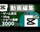 格安で縦動画の様々なジャンルの編集を承ります 編集経験豊富な主がキャップカット課金版で縦動画編集をします イメージ1