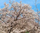 やりたいことができていない？？理由を確かめられます お金がないから？時間がないから？？本当にそうなの？？？ イメージ6