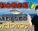 YouTubeの動画編集いたします 現役編集者があなたの動画のクオリティを上げます イメージ4