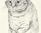 ペットの細密なペン画を描きます 大切なペットの可愛い表情を絵にしてみませんか イメージ1