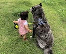 中卒社長があなたのお悩みを解決致します 中卒、糖尿病、いじめられっ子でも幸せになれたコツをバラします イメージ3