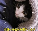 ケアマネが介護のお悩みを聞きます 在宅介護や家族介護の不安を安心してご相談ください イメージ1