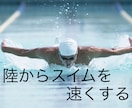 スイマーの為のドライトレーニングの提案をします フィットネ、競泳コーチの経験から、陸上トレーニングを提案する イメージ1