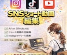 広告動画・リール動画などのショート動画編集します TikTok、YouTube、Instagramショート専門 イメージ1