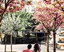 介護のお困り事を聞かせていただきます 〜理学療法士の立場からアドバイスさせていただきます〜 イメージ1